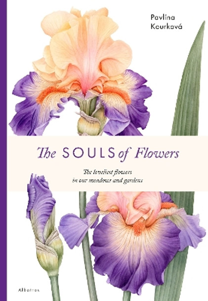 The Souls of Flowers by Pavlina Kourkova 9788000071008