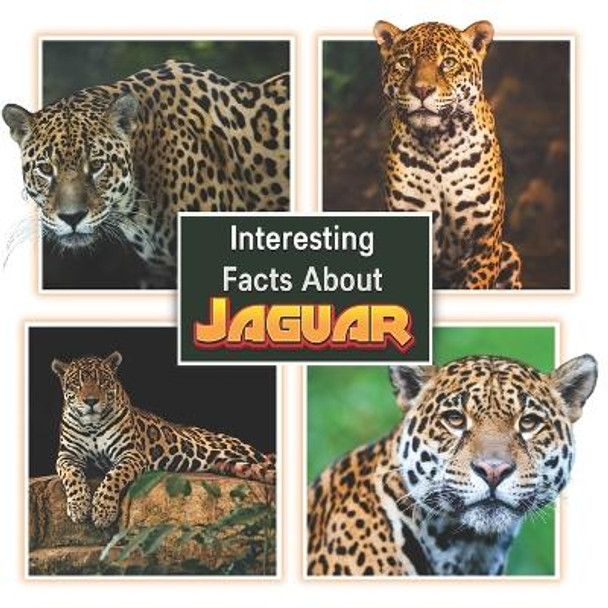 Interesting Facts About Jaguars: Children's Picture Book for Jaguars / Facts About Jaguars for Kids by James K Mahi 9798374595871