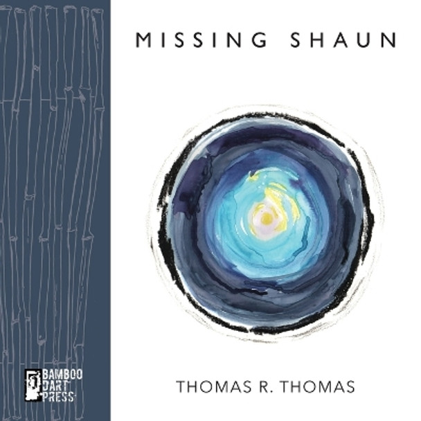 Missing Shaun by Thomas R Thomas 9781947240551