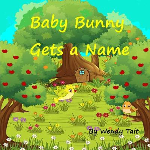 Baby Bunny Gets a Name by Wendy Tait 9781708702076