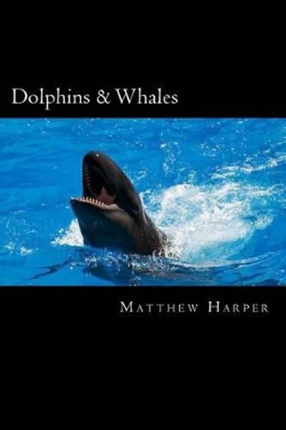 Dolphins & Whales: A Fascinating Book Containing Dolphin & Whale Facts, Trivia, Images & Memory Recall Quiz: Suitable for Adults & Children by Matthew Harper 9781496121813