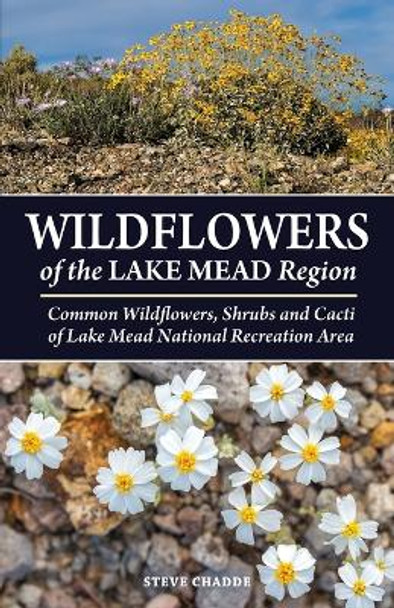 Wildflowers of the Lake Mead Region by Steve W Chadde 9781951682675