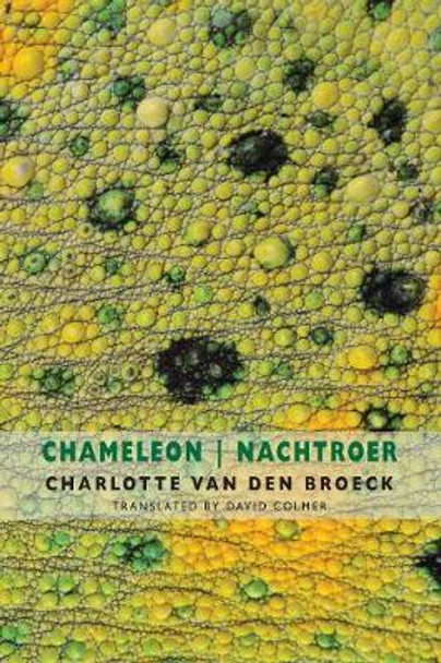 Chameleon  Nachtroer by Charlotte Van den Broeck