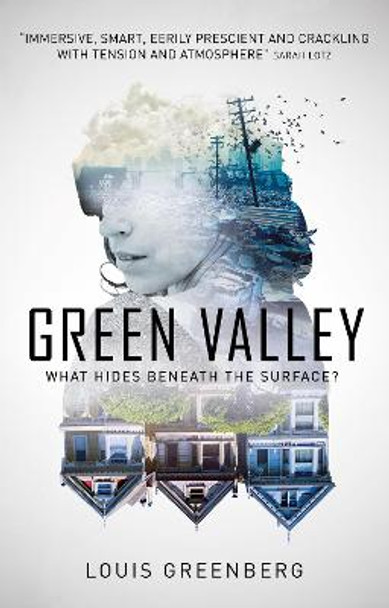 Green Valley by Louis Greenberg