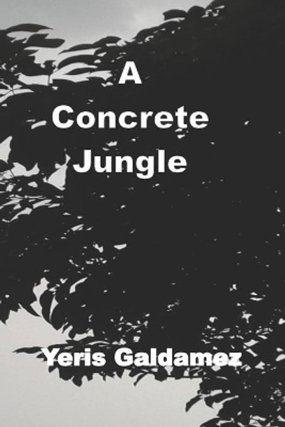 A Concrete Jungle by Yeris Galdamez 9798583240852