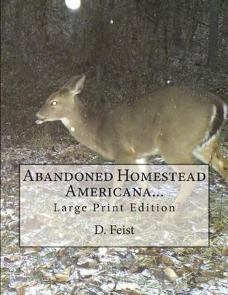 Abandoned Homestead Americana...: Large Print Edition by D Feist 9781482570083