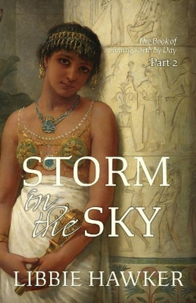 Storm in the Sky by Libbie Hawker 9781947174115