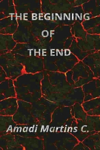 The beginning of the end by Amadi Martins C 9781975666132