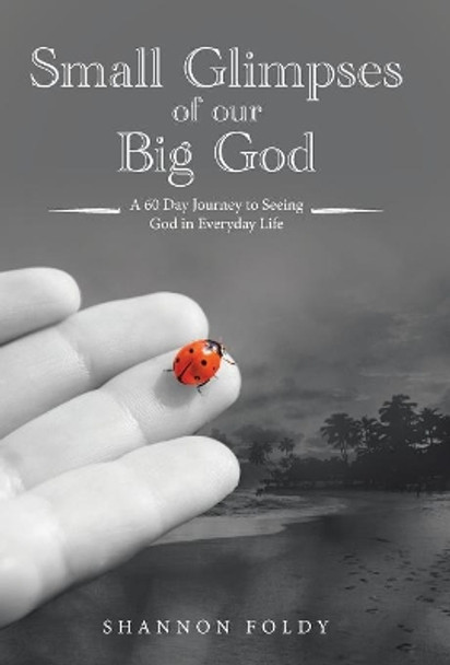 Small Glimpses of Our Big God: A 60 Day Journey to Seeing God in Everyday Life by Shannon Foldy 9781973619246