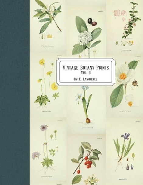 Vintage Botany Prints: Vol. 8 by E Lawrence 9781721997459