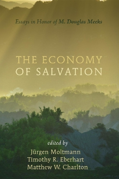 The Economy of Salvation by Jurgen Moltmann 9781498236362