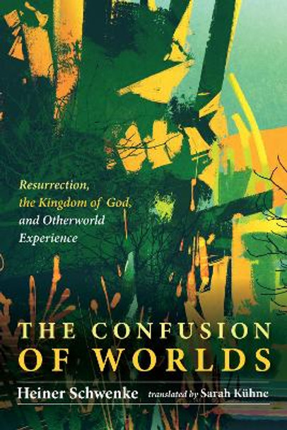 The Confusion of Worlds by Heiner Schwenke 9781532656033