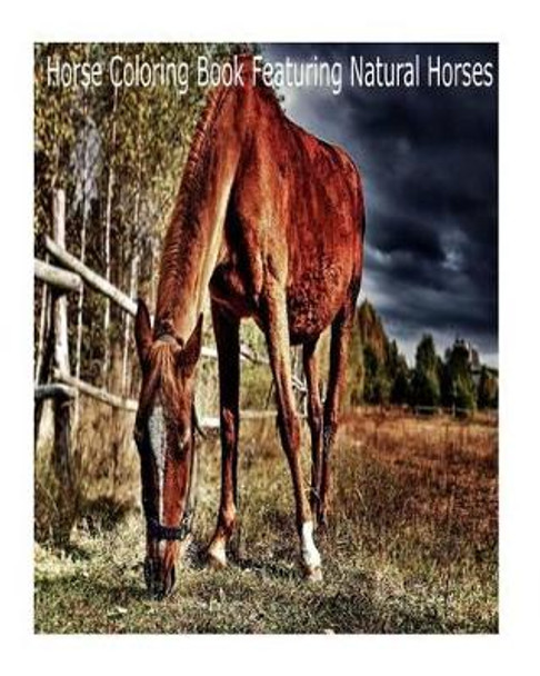 Magical Horses Colouring-In: Horse Coloring Book Featuring Natural Horses by Connor James 9781533526014