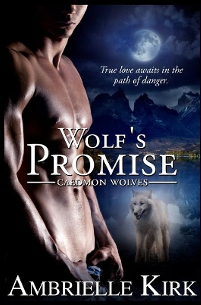 Wolf's Promise by Amber Ella Monroe 9781511649896