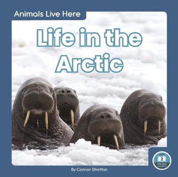 Animals Live Here: Life in the Arctic by ,Connor Stratton