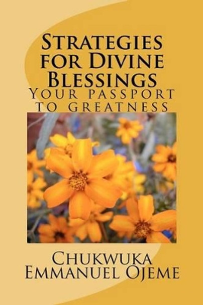 Strategies for Divine Blessings by Chukwuka Emmanuel Ojeme 9781479183395