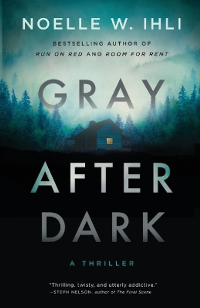 Gray After Dark by Noelle West Ihli 9798987845578