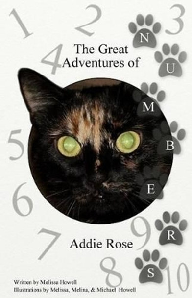 The Great Adventures of Addie Rose Numbers: Numbers by Melissa Howell 9781530835614