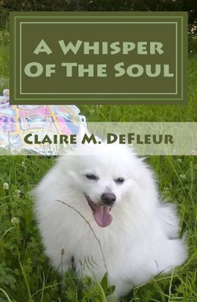 A Whisper of the Soul by Claire M DeFleur 9781548121877