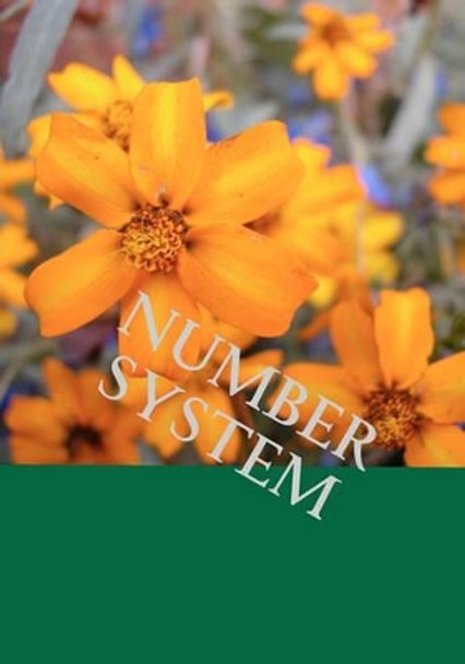 Number system by Wong 9781461134725