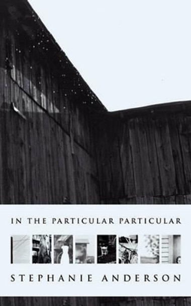 In the Particular Particular by Stephanie Anderson 9781934832240