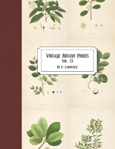 Vintage Botany Prints: Vol. 13 by E Lawrence 9781723184307