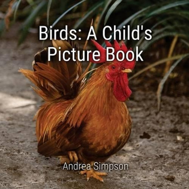 Birds: A Child's Picture Book by Andrea Simpson 9781539835332
