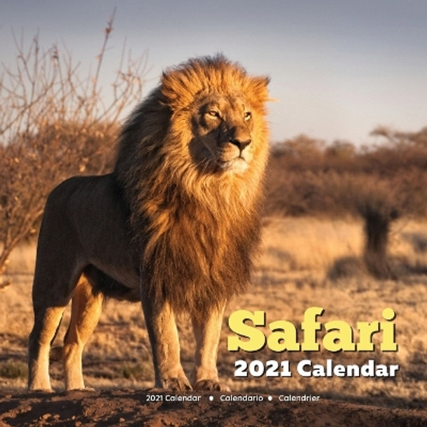 Safari Calendar 2021: African Safari Animal Gifts by Almon Dolhe 9798551219378