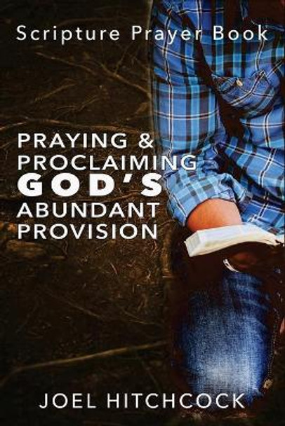 Praying and Proclaiming God's Abundant Provision: Effectual Fervent Prayers and Proclamations of Faith for God's Abundant Provision by Joel Hitchcock 9781545237908