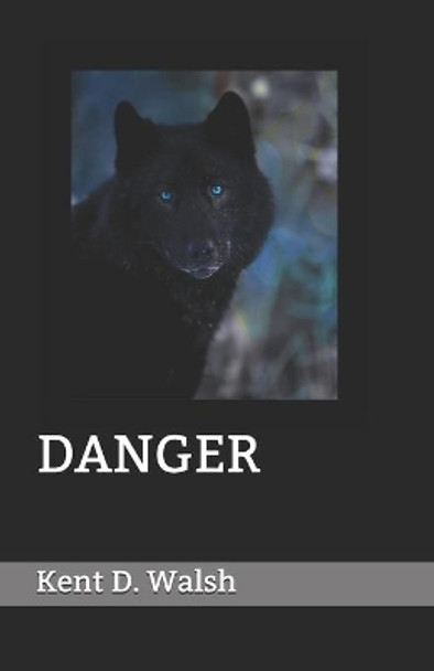 Danger by Kent D Walsh 9798629682431