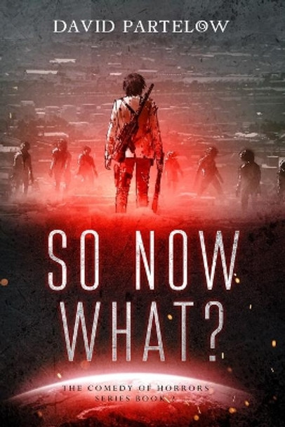 So...NOW What? by David Partelow 9798644258482