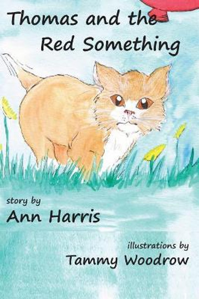 Thomas and the Red Something by Ann Elizabeth Harris 9781926898896