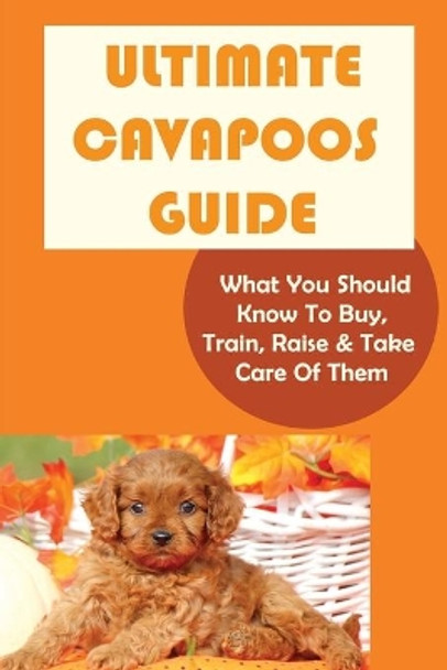 Ultimate Cavapoos Guide: What You Should Know To Buy, Train, Raise & Take Care Of Them: Cavapoo Living Needs by Carmelo Burden 9798450951218