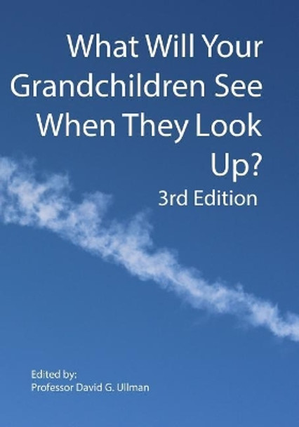 What Will Your Grandchildren See When They Look Up? by David G Ullman 9781981953691