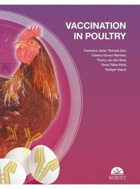 Vaccination in poultry by Francisco Javier Torrubia Diaz