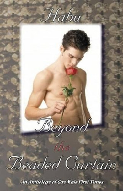 Beyond the Beaded Curtain: An Anthology of Gay First Times by Habu 9781922187208