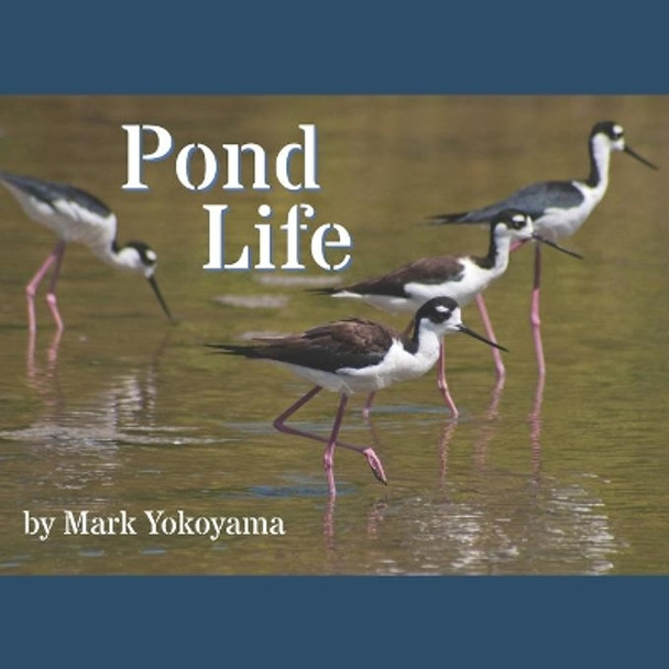 Pond Life by Mark Yokoyama 9781660243679