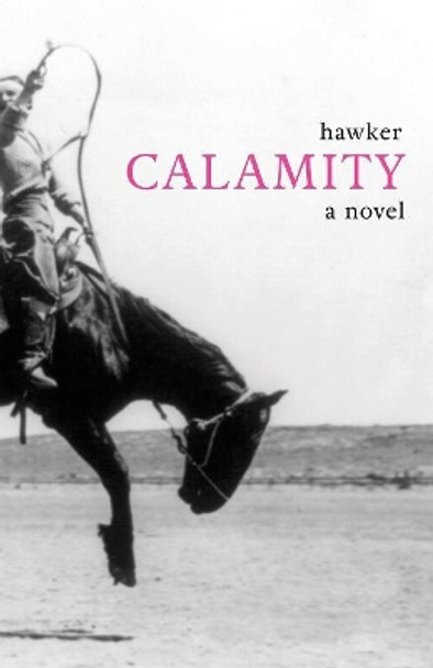 Calamity by Libbie Hawker 9781947174221