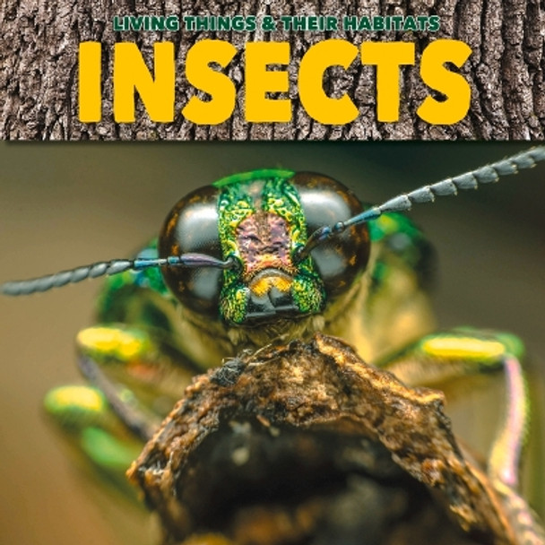 Insects by Grace Jones 9781786376398