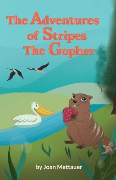 The Adventures of Stripes the Gopher by Joan Mettauer 9781721855834