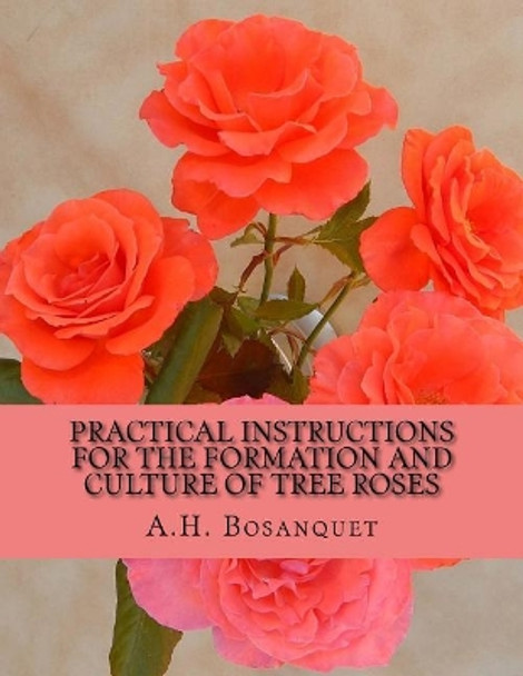 Practical Instructions For The Formation and Culture of Tree Roses by Roger Chambers 9781724864864