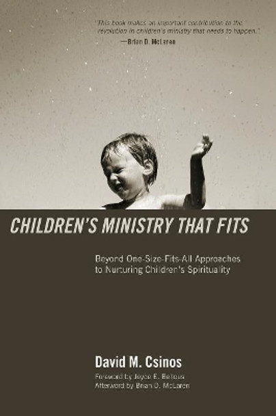 Children's Ministry That Fits by David M Csinos 9781610971218