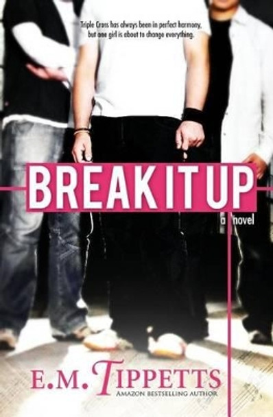 Break It Up by E M Tippetts 9781494284091