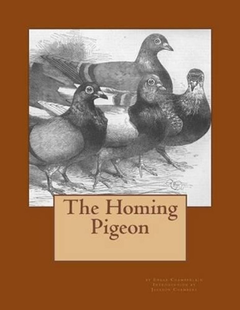 The Homing Pigeon by Jackson Chambers 9781539865445