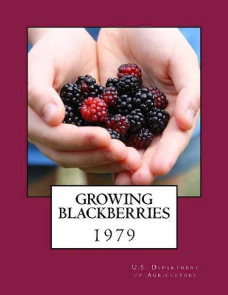 Growing Blackberries by Roger Chambers 9781984026453