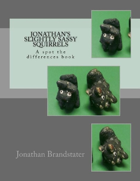 Jonathan's slightly sassy squirrels: A spot the differences book by Jonathan Jay Brandstater 9781546703785