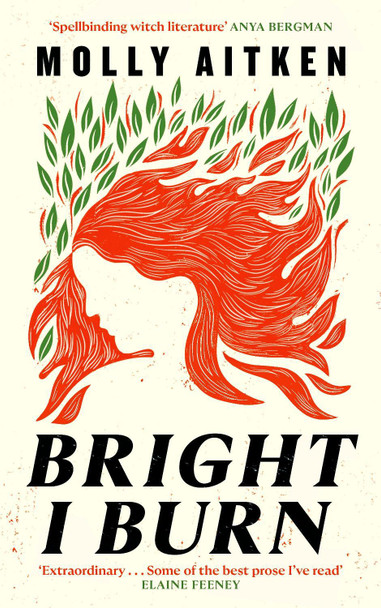Bright I Burn by Molly Aitken 9781786898388