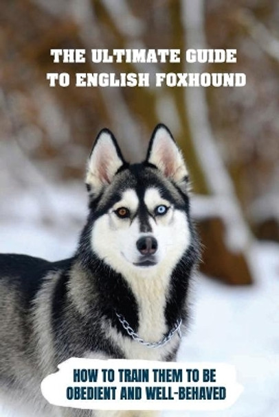 The Ultimate Guide To English Foxhound: How To Train Them To Be Obedient And Well-Behaved: How To Stop Your English Foxhound From Scratching Things by Benedict Spinar 9798549206762