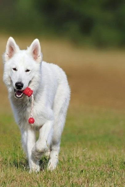 Swiss Shepherd: The White Swiss Shepherd Dog Became the 219th Pedigree Dog Breed to Be Recognized by the Kennel Club in October 2017. the Breed Is Classified in the Pastoral Group on the Imported Breed Register. by Planners and Journals 9781796604979