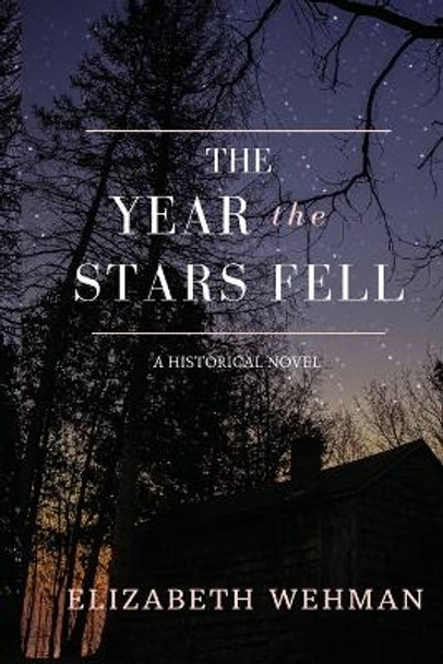 The Year the Stars Fell by Elizabeth Wehman 9781732652224